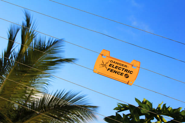 banner-img